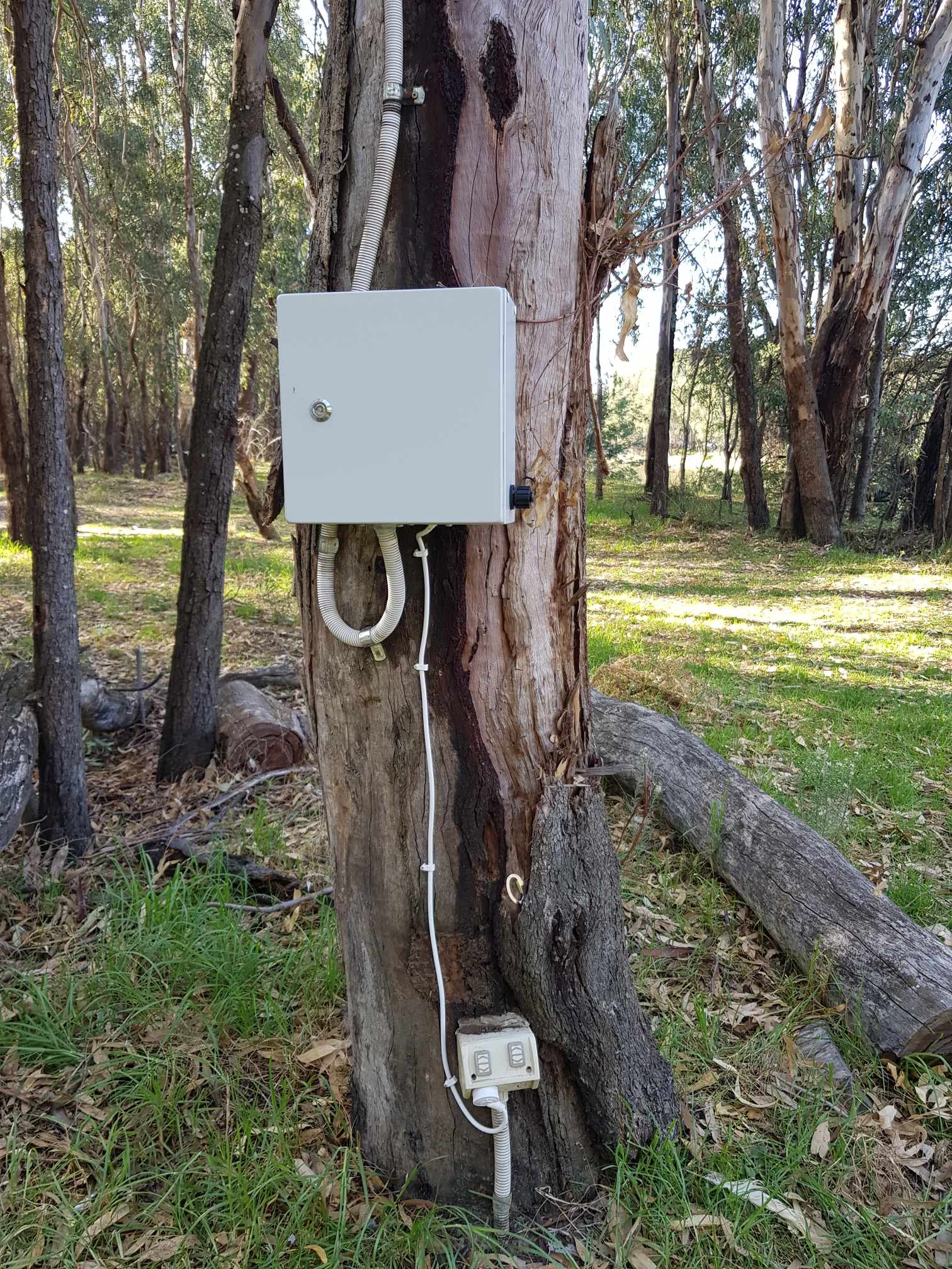 📞 Ready to Get Connected?